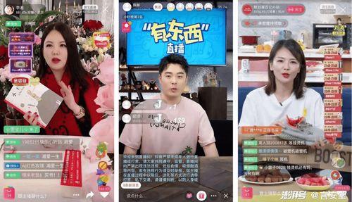 爆料狗仔带货视频大全,揭秘明星网红带货背后的秘密 第3张 爆料狗仔带货视频大全,揭秘明星网红带货背后的秘密 第3张